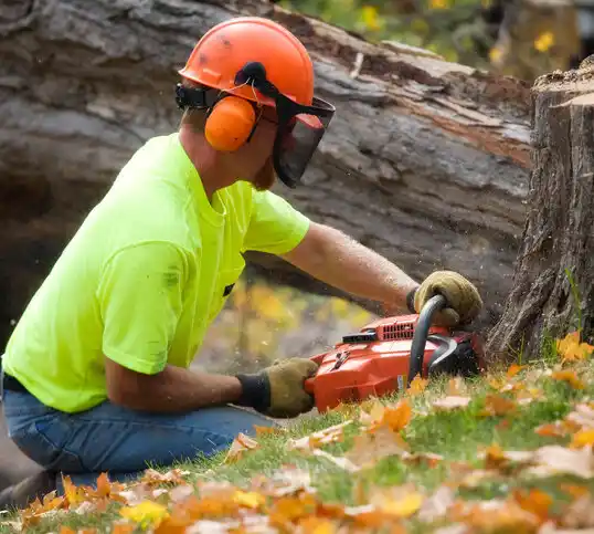 tree services Grover